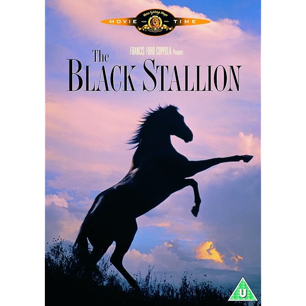 ワイルドブラックTHE BLACK STALLION USオリジナル映画ポスター The Black Stallion [DVD] : Amazon.com.au: Movies & TV